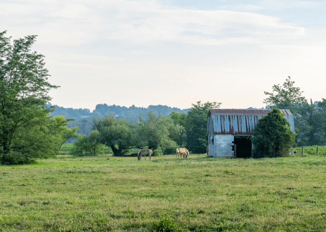 Wettest Counties in Kentucky Stacker