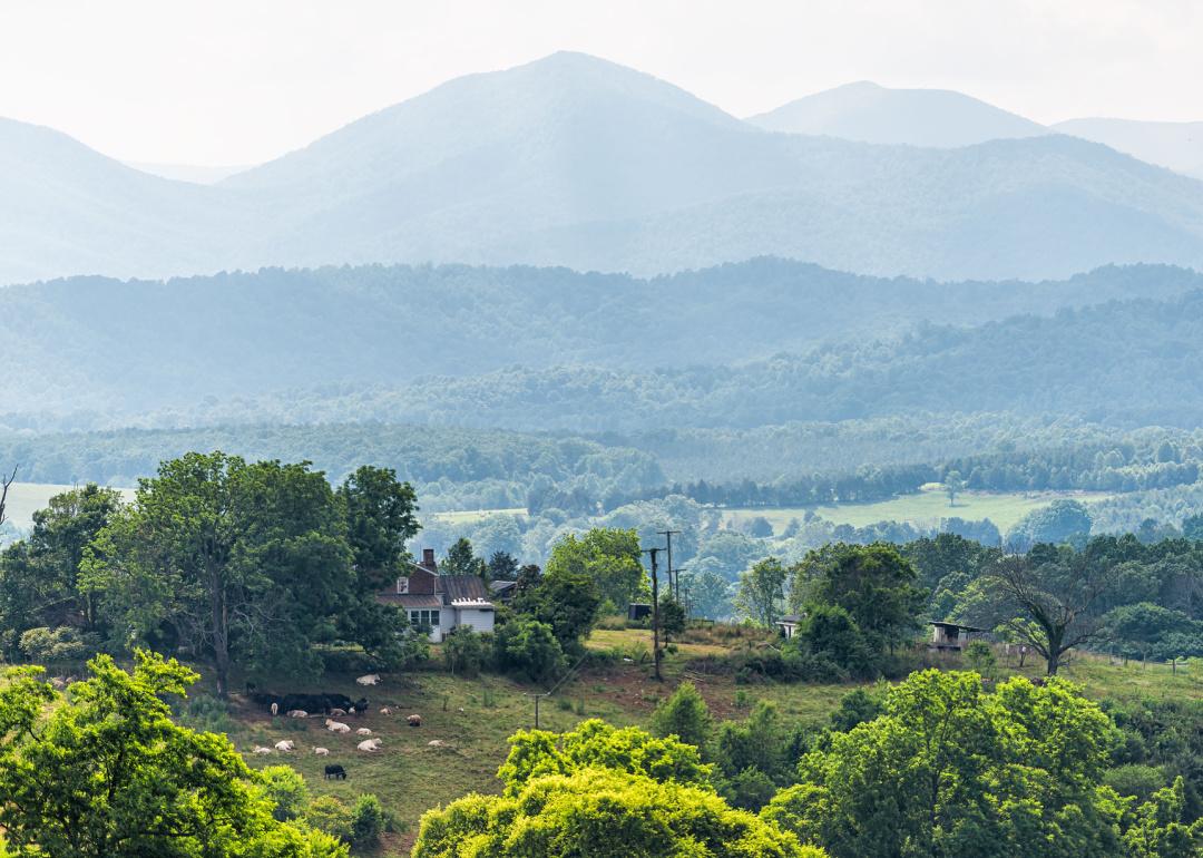 Warmest and Coldest January in Nelson County, Virginia History Stacker