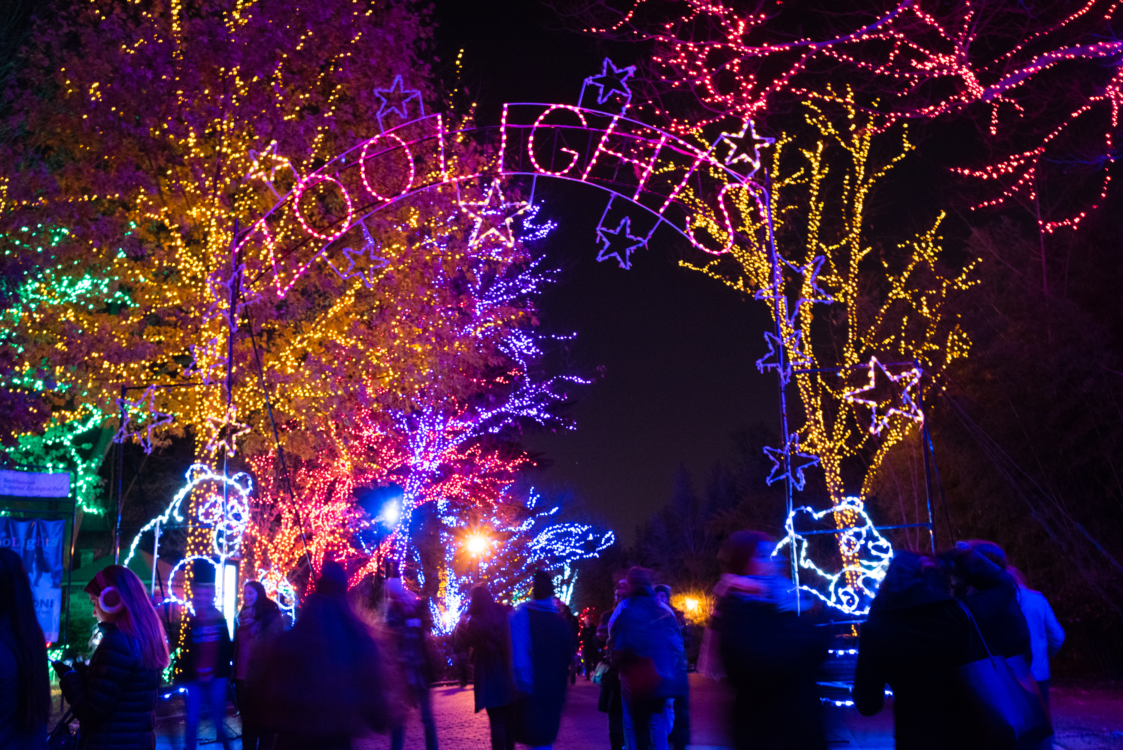 25 OvertheTop Christmas Light Displays from Across America