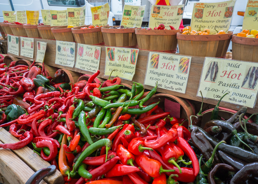 Most valuable crops grown in Florida Stacker