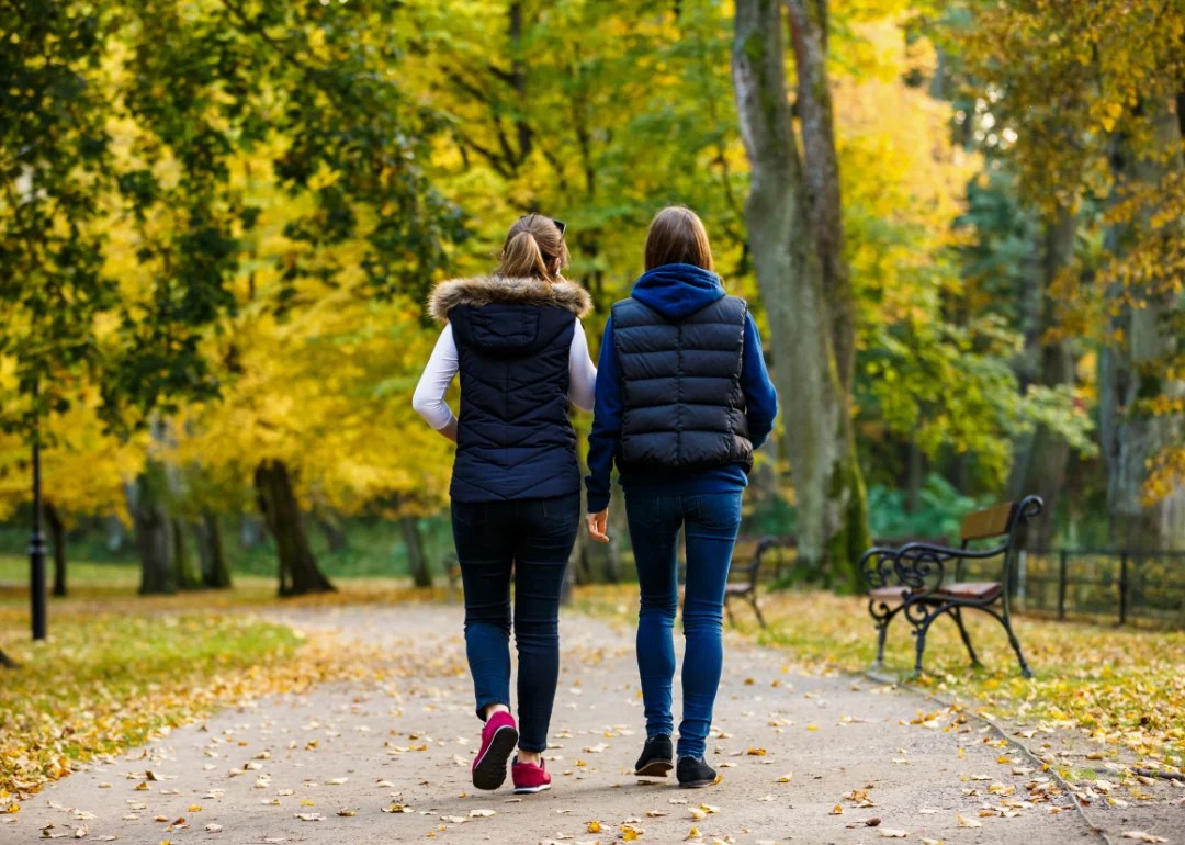 Highestrated Things to Do in Kansas City, According to Tripadvisor