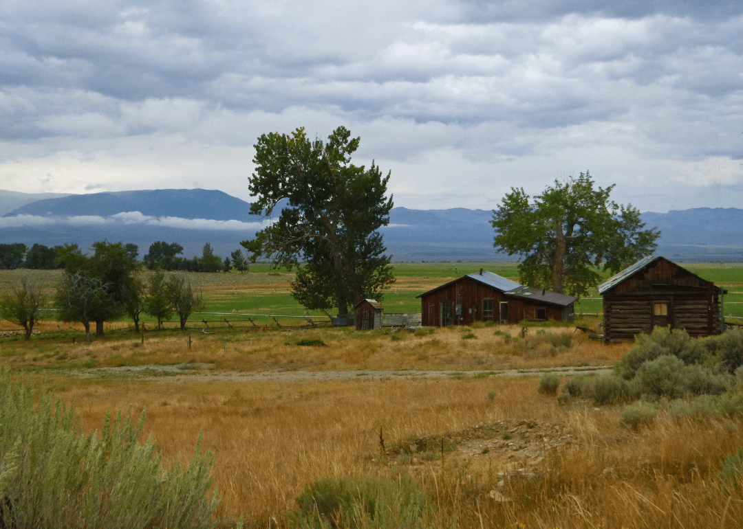 Warmest and Coldest January in Lemhi County, Idaho History Stacker