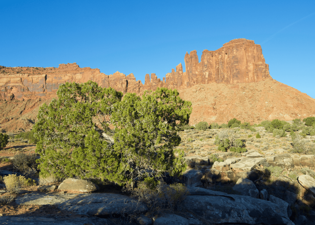 Here's How Unemployment in Walworth County, SD Compares Stacker