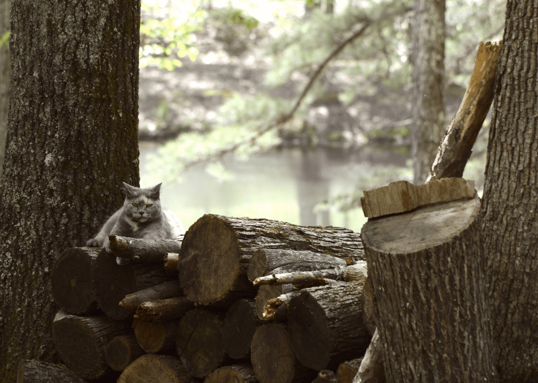 Warmest and Coldest Februaries in Marion County, Alabama History Stacker