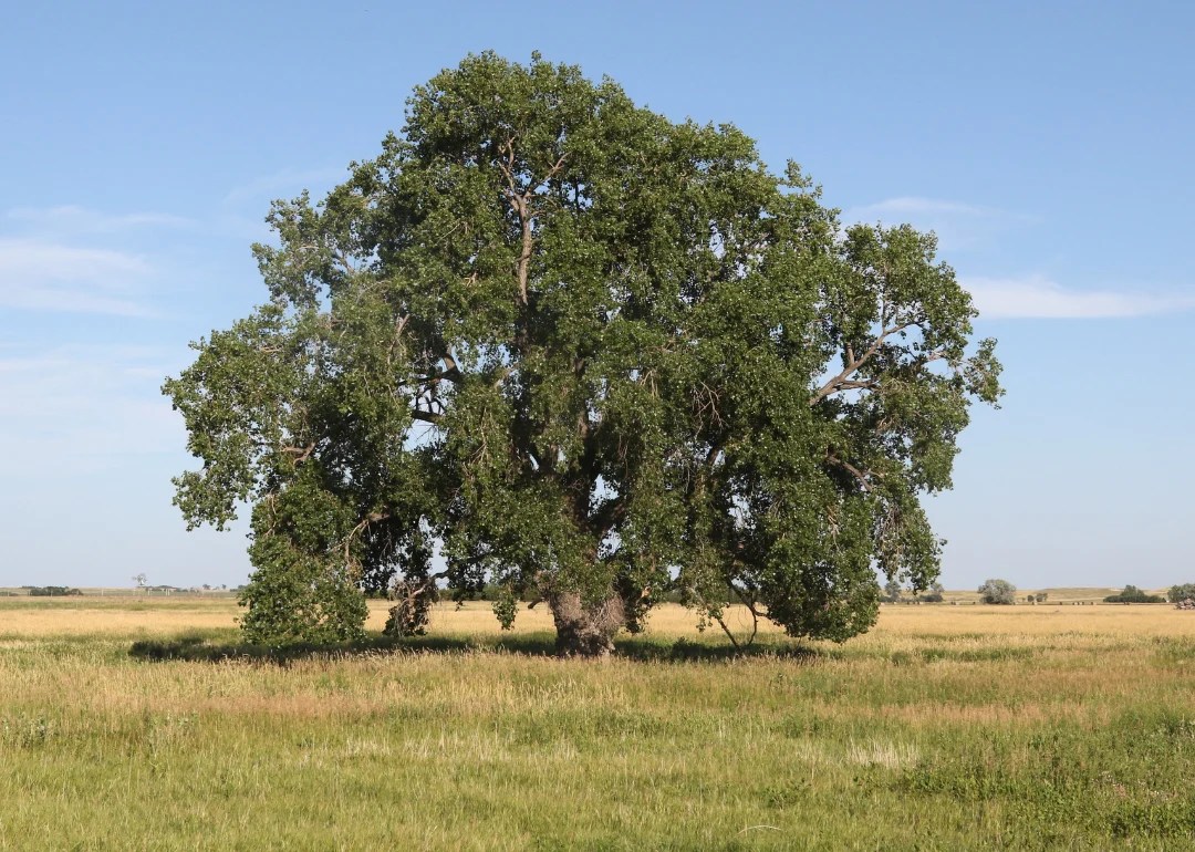 Warmest and Coldest January in County, South Dakota History
