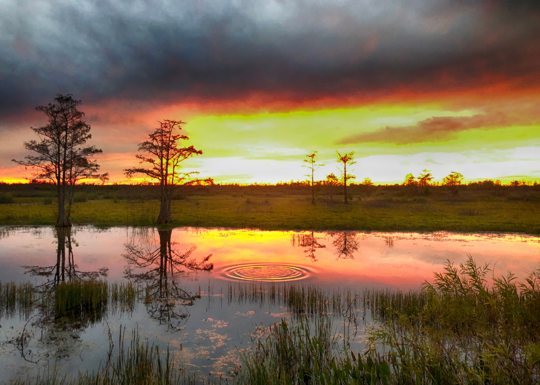 See the Most Extreme Temperatures in Louisiana History Stacker
