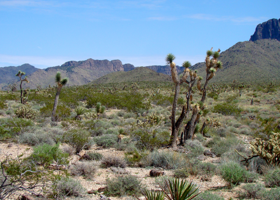 See the Most Extreme Temperatures in Nevada History Stacker