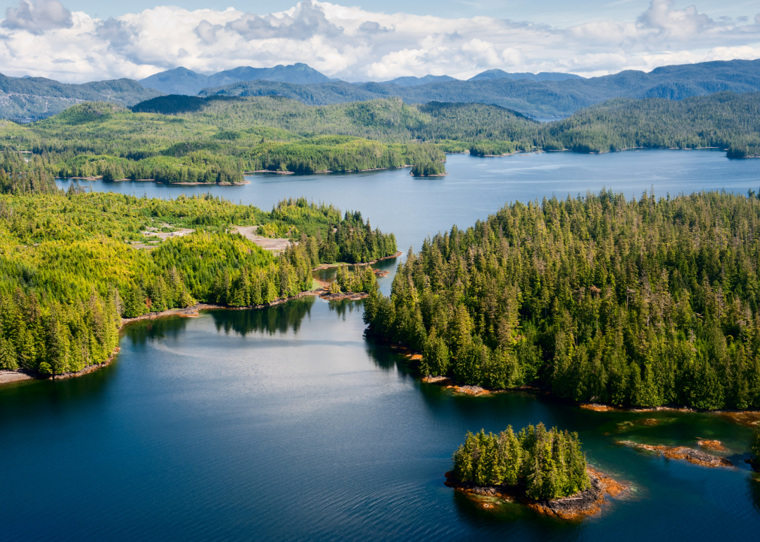 Boroughs and Counties Sending the Most People to Prince of WalesHyder