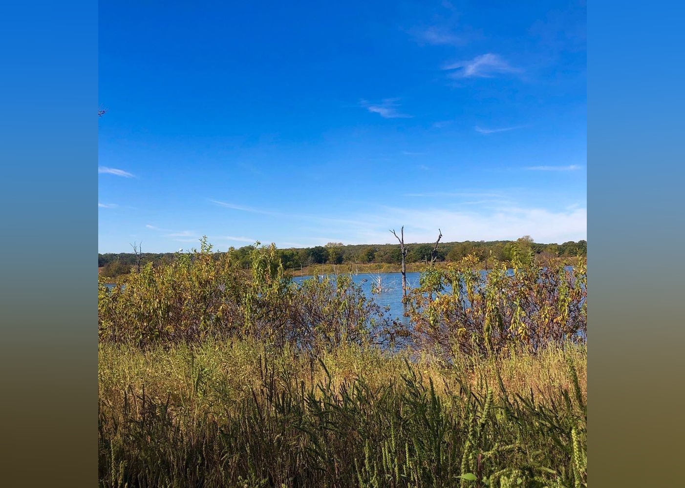 Highestrated Campgrounds in Sherman, According to Yelp Stacker