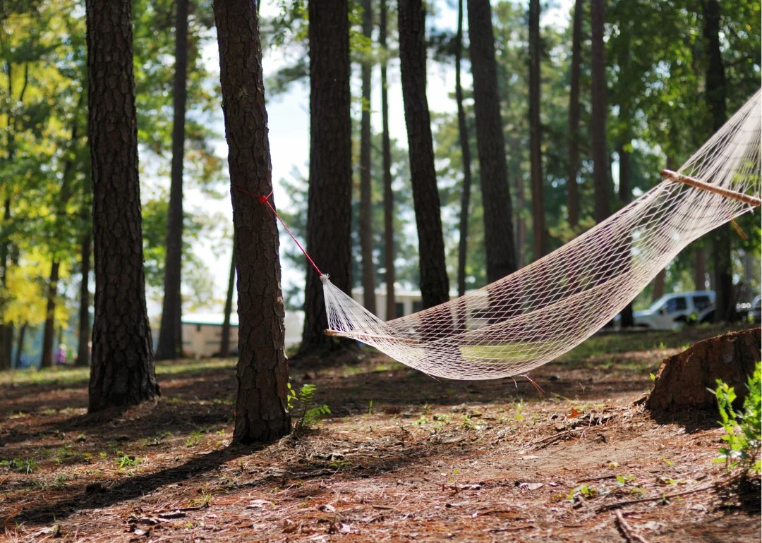 Most Common Languages Spoken at Home in Greater San Antonio and