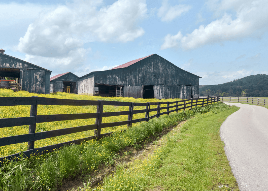 Warmest and Coldest January in Martin County, Kentucky History Stacker