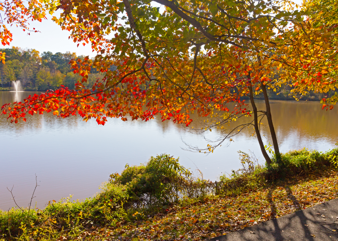 Warmest and Coldest January in Falls Church City, Virginia History