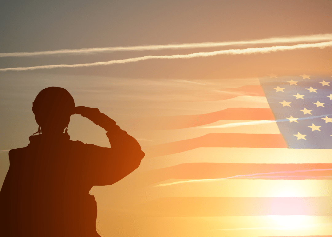 Counties With the Most Veterans in Illinois Stacker