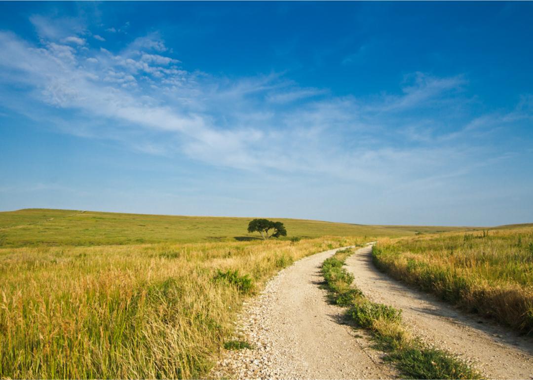 Warmest and Coldest January in Lane County, Kansas History Stacker