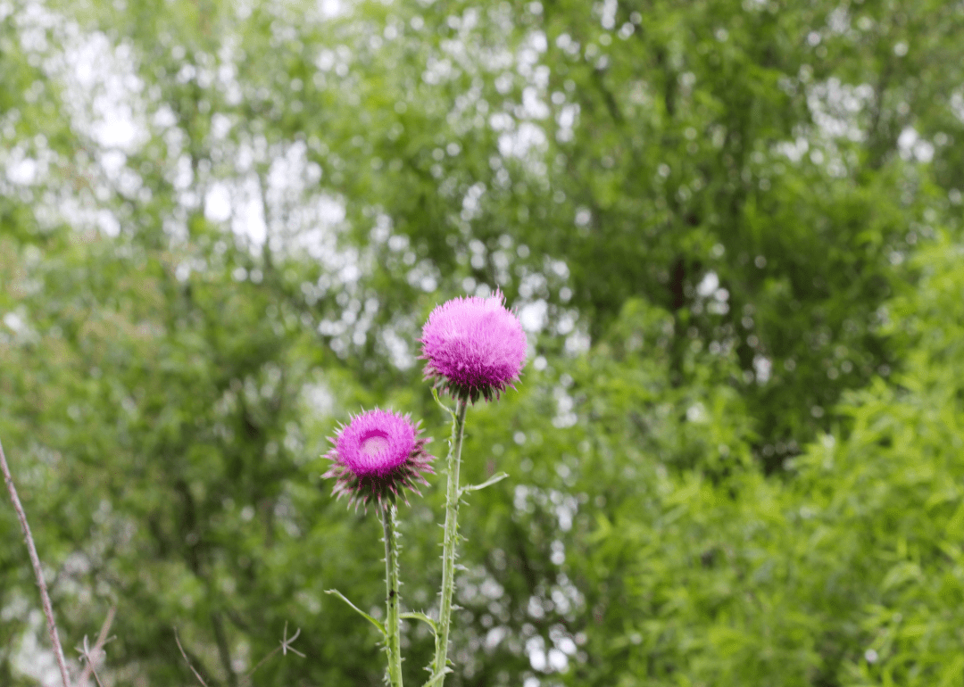 Warmest and Coldest January in Leslie County, Kentucky History Stacker