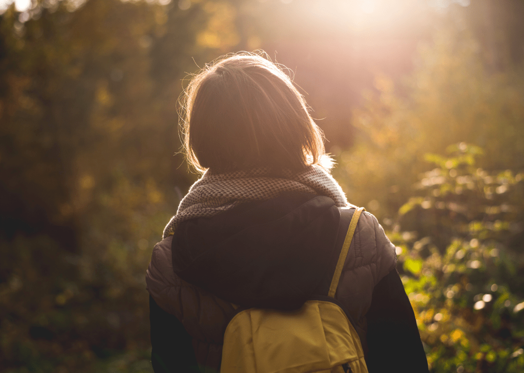 Highestrated Things to Do in North Carolina, According to Tripadvisor