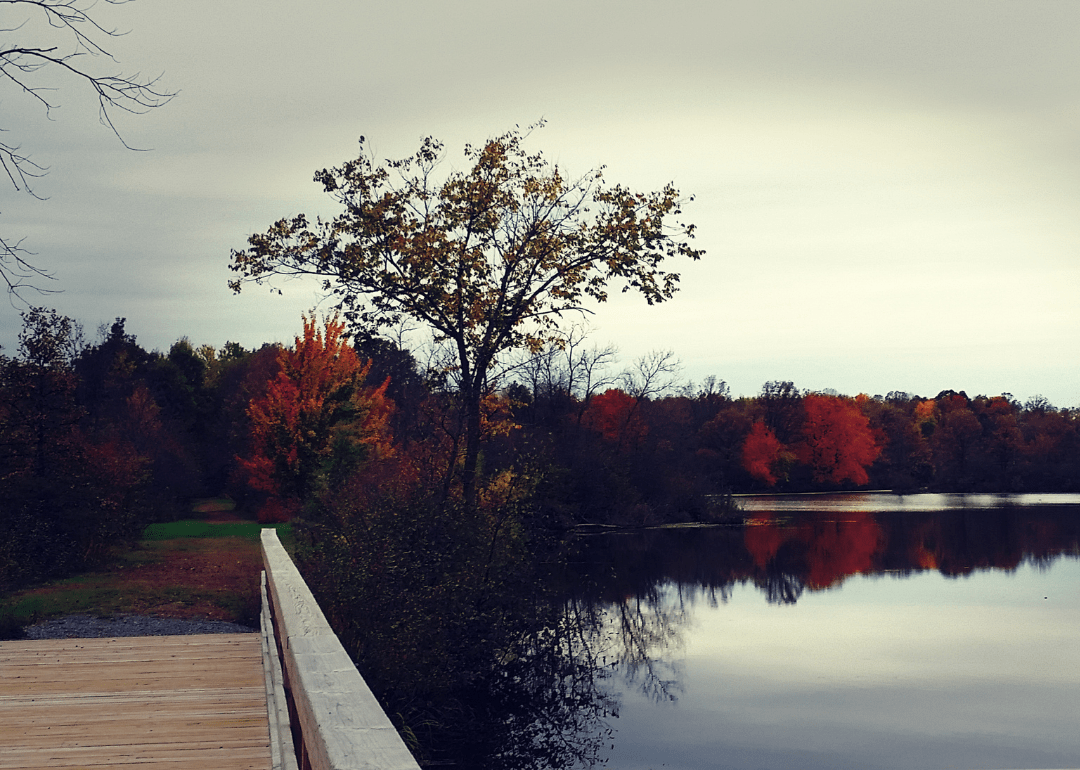 1 in 173 People in Clark County, Wisconsin Are Grandparents Caring for