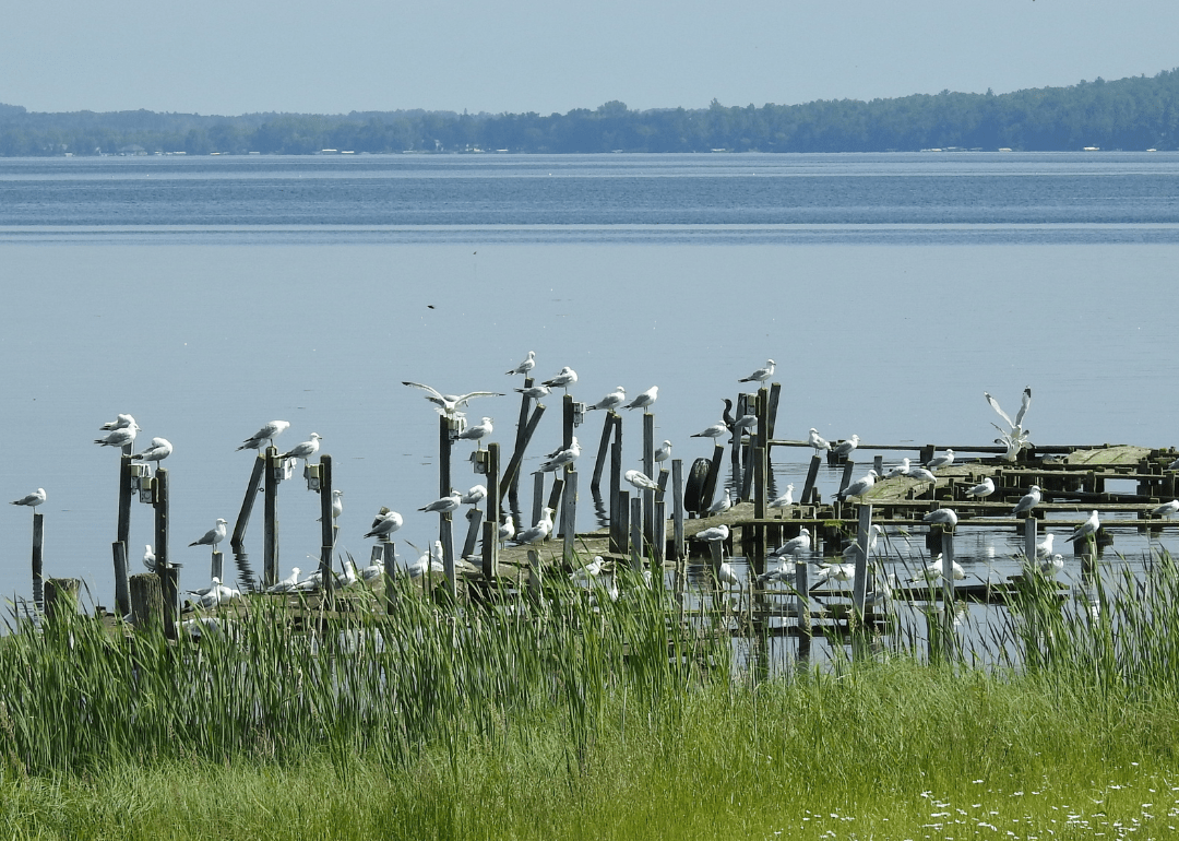 Warmest Decembers in Alcona County, Michigan History Stacker