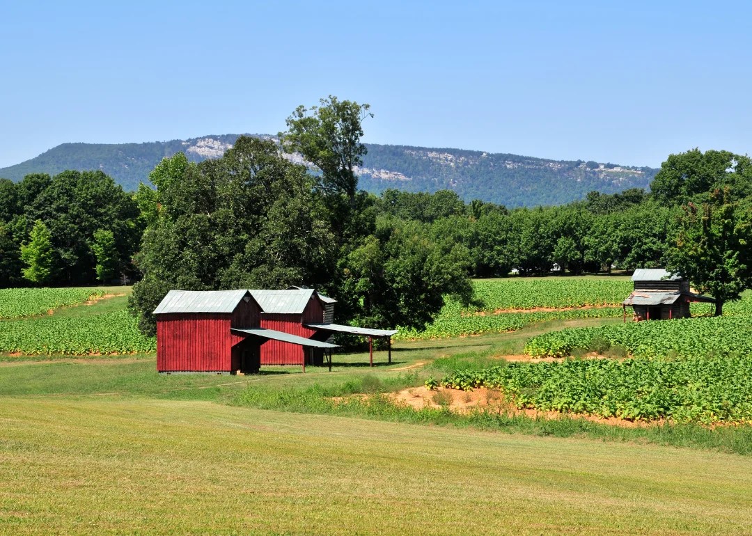 Warmest and Coldest January in Stokes County, North Carolina History