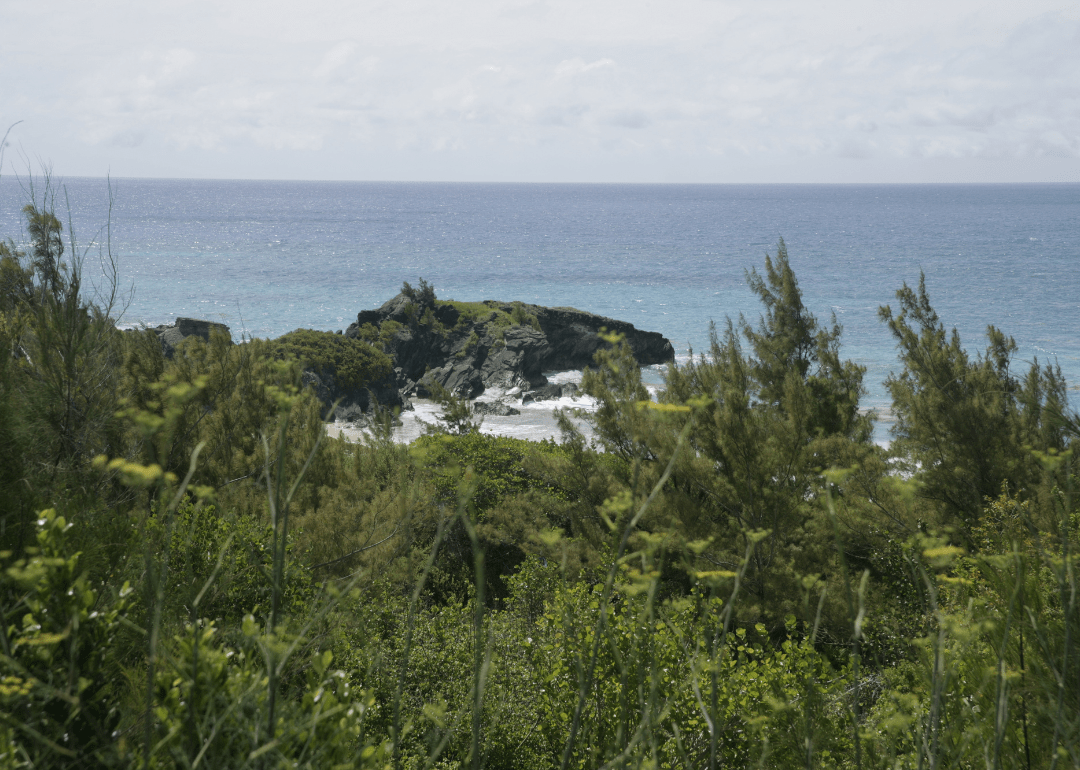 Warmest and Coldest January in Dixie County, Florida History Stacker