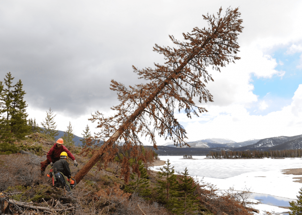 Highestpaying Jobs That Let You Work Outside Stacker