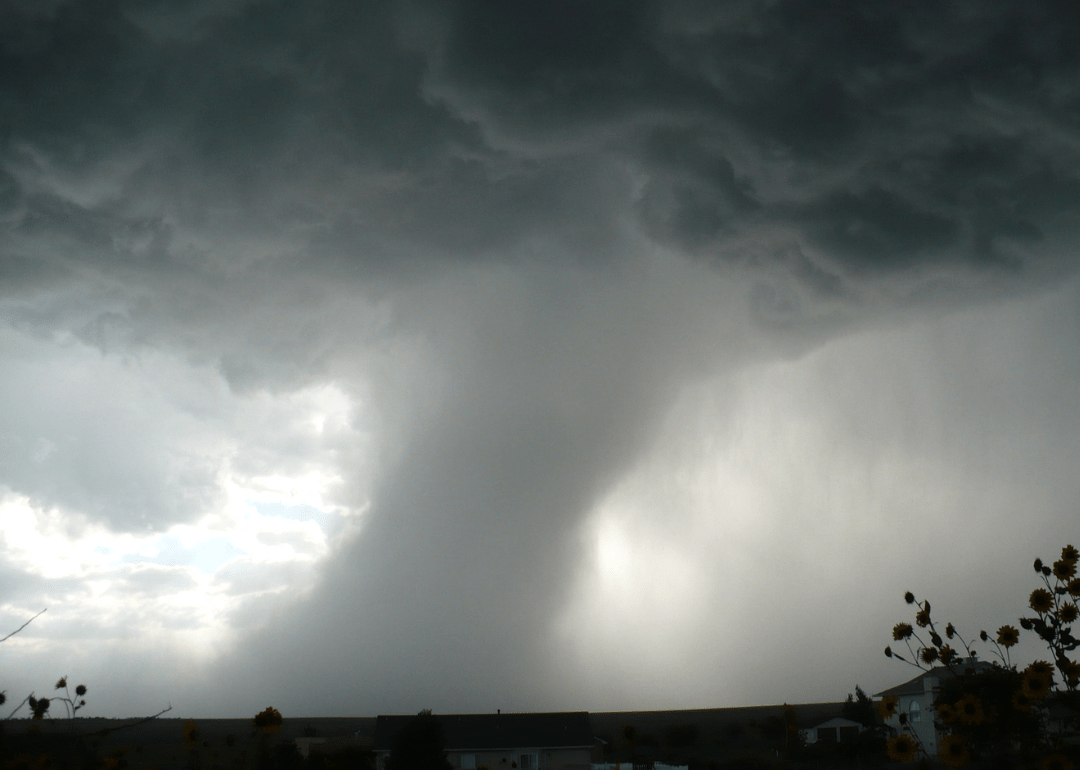 Biggest Tornadoes in Tennessee of the Past Decade Stacker