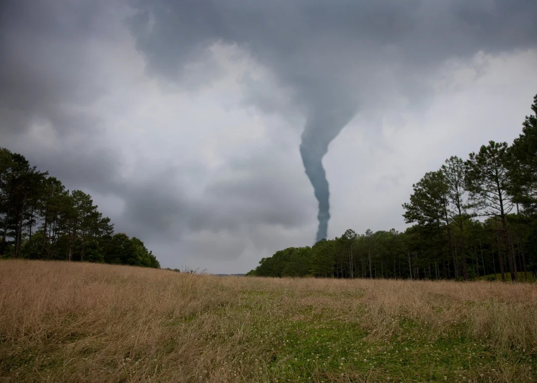 Biggest Tornadoes in Tennessee of the Past Decade Stacker