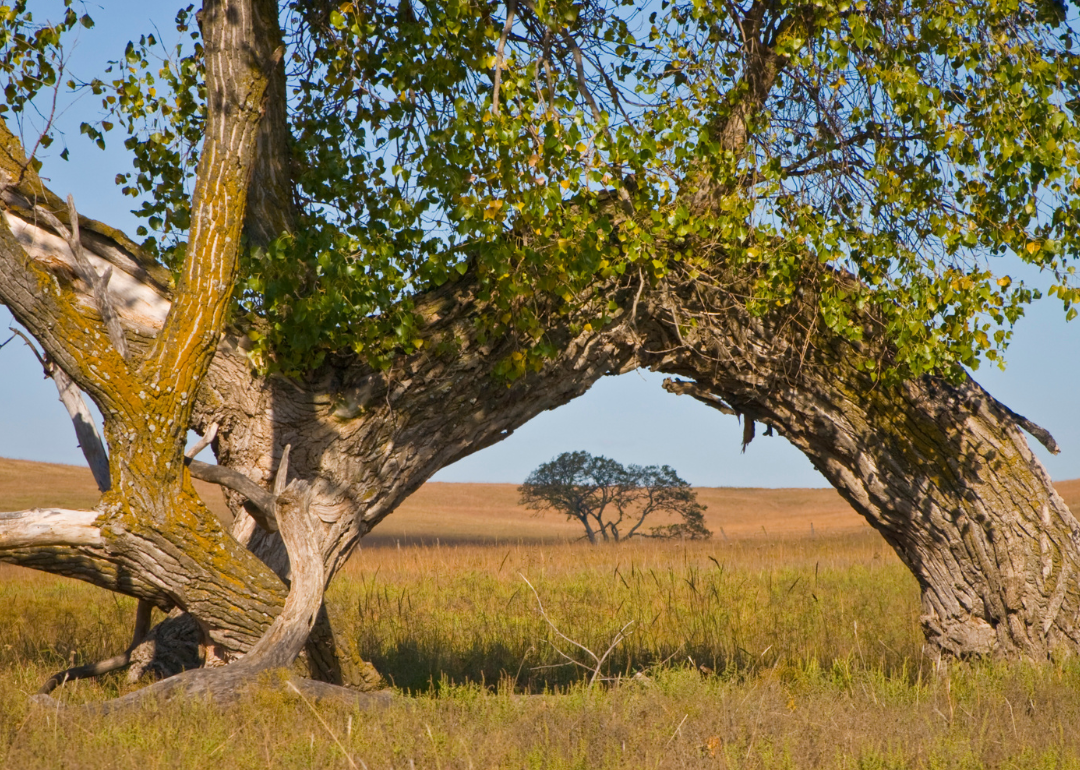 Counties With the Most Farmland in Kansas Stacker
