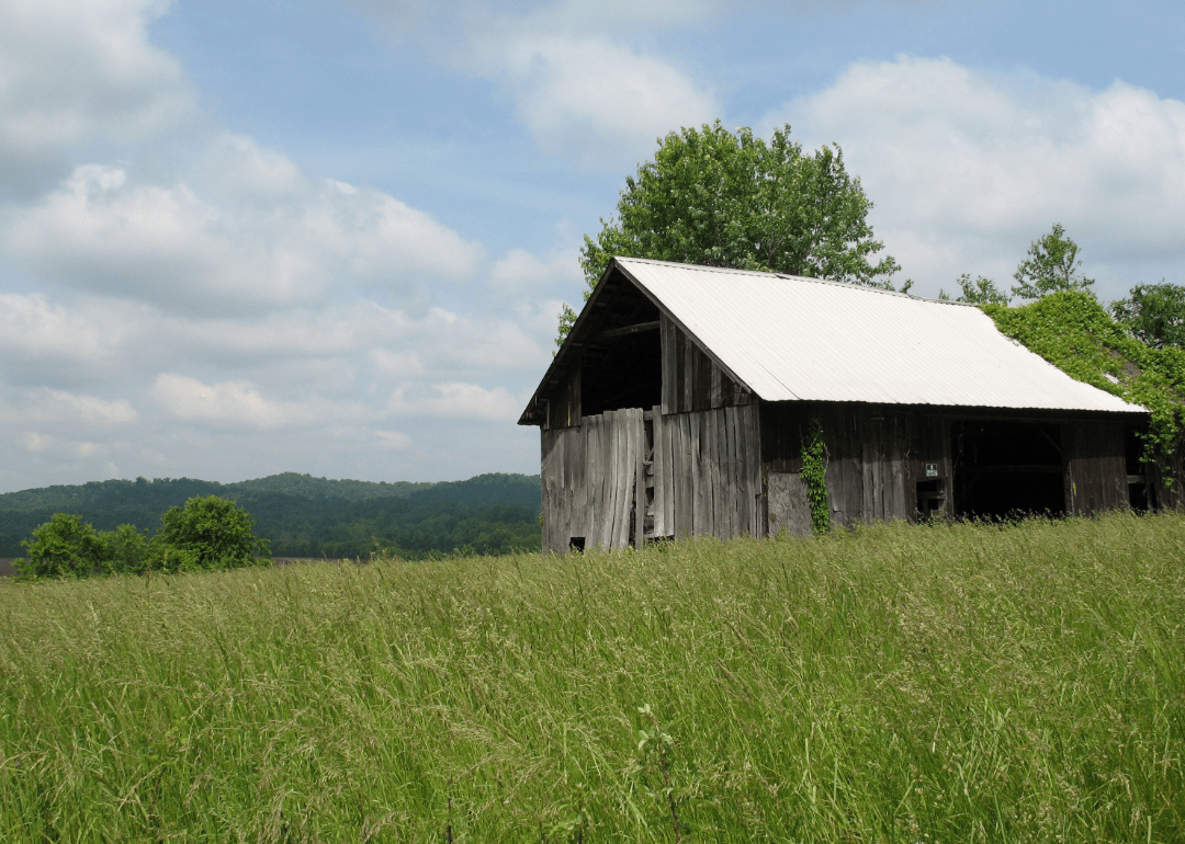 Counties With the Most Farmland in Ohio Stacker