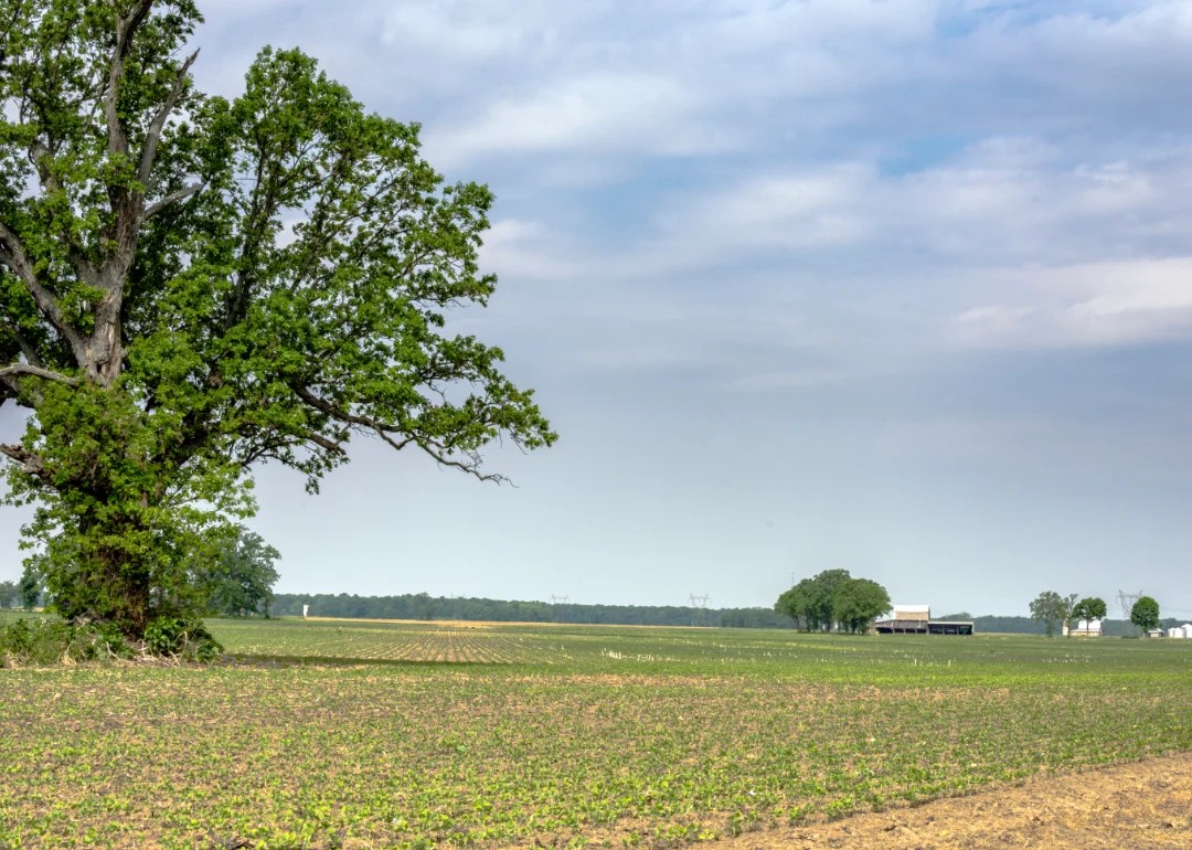 Counties With the Most Farmland in Ohio Stacker