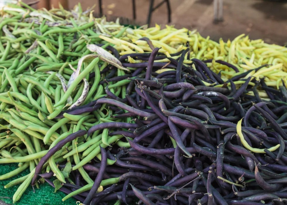 Most Valuable Crops Grown in Florida Stacker