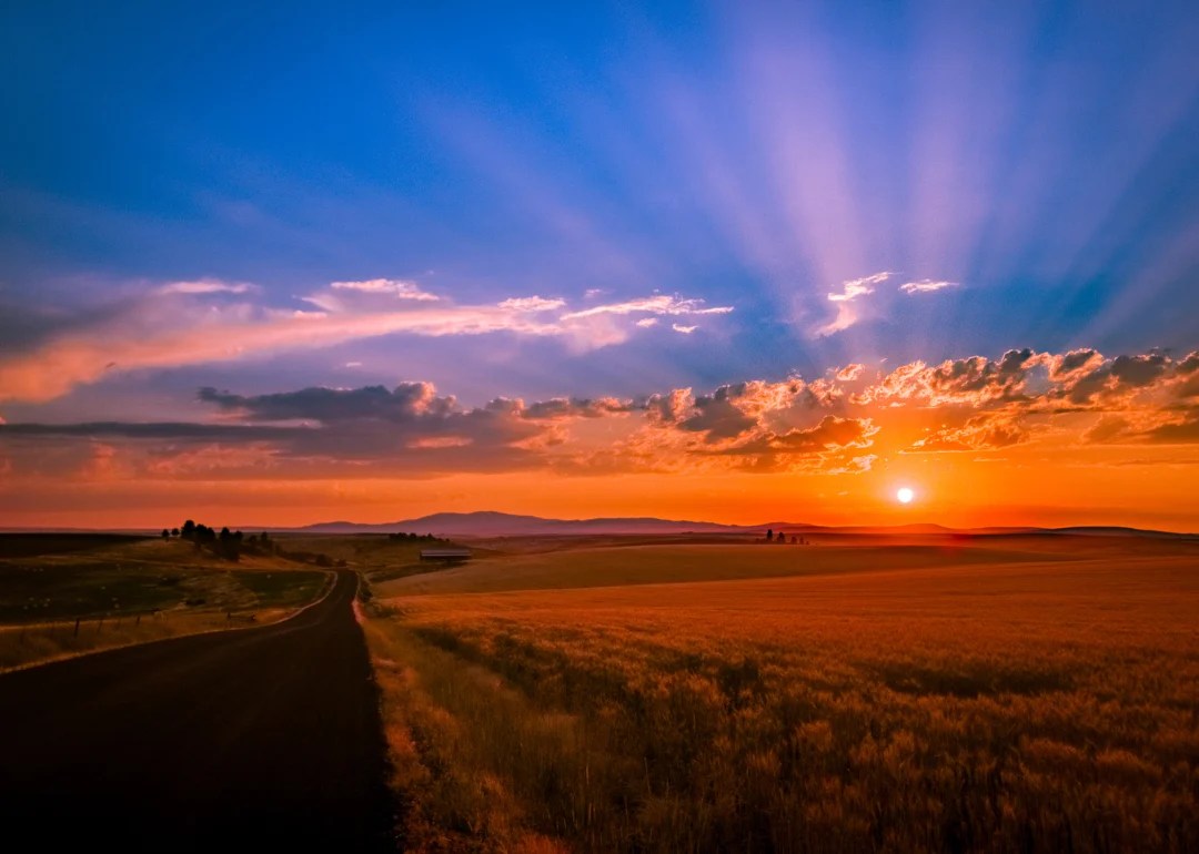 Counties With the Most Farmland in Idaho Stacker