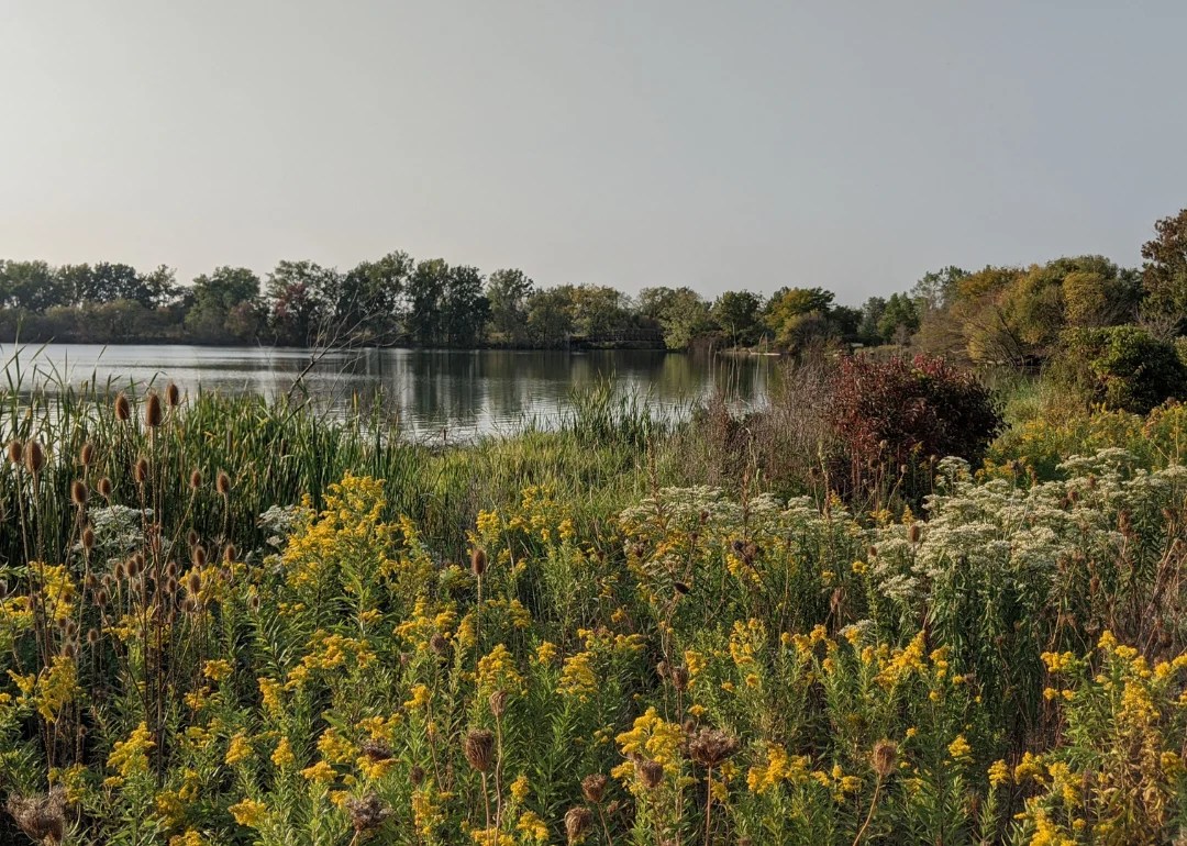 Counties With the Most Farmland in Michigan Stacker