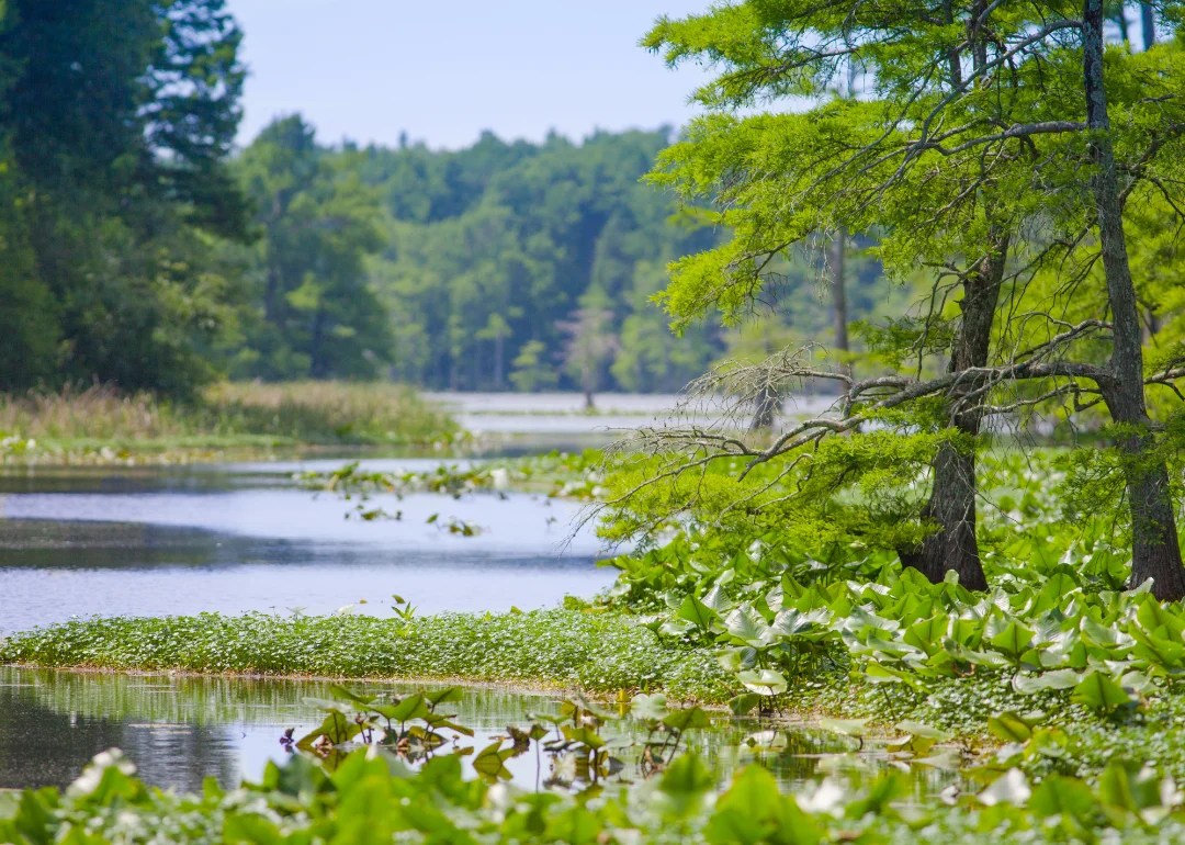 Counties With the Most Farmland in Tennessee Stacker