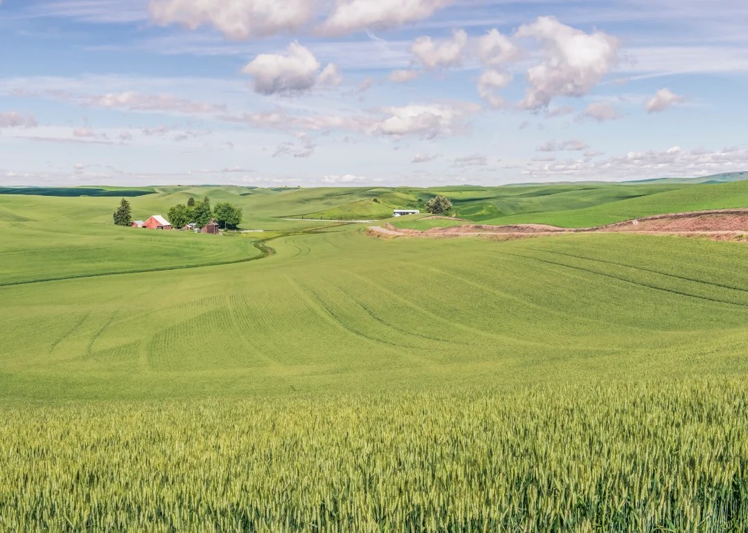 Counties With the Most Farmland in Idaho Stacker