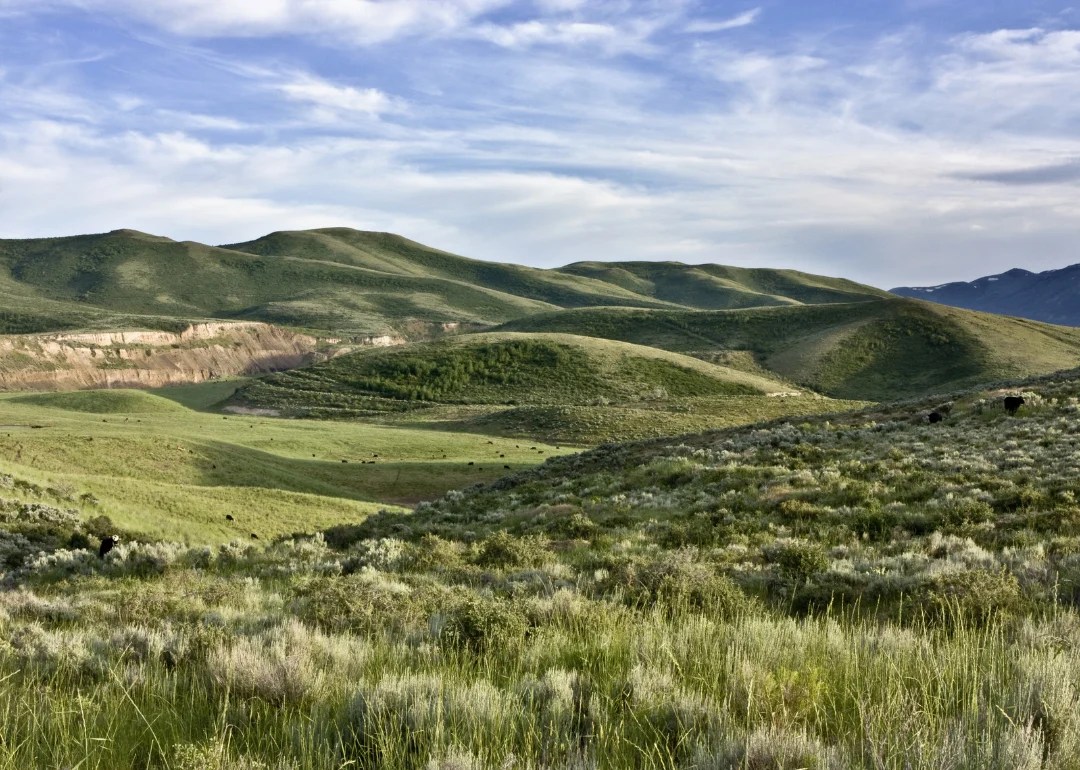 Counties With the Most Farmland in Idaho Stacker