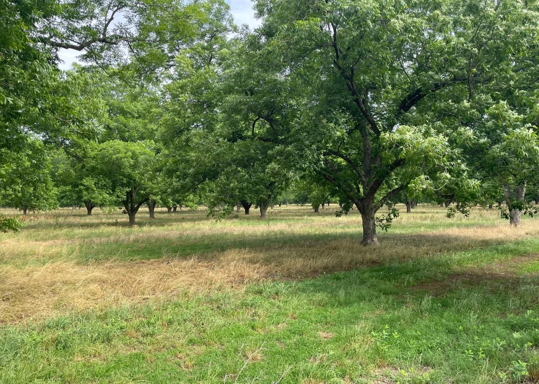 Counties With the Most Farmland in Stacker