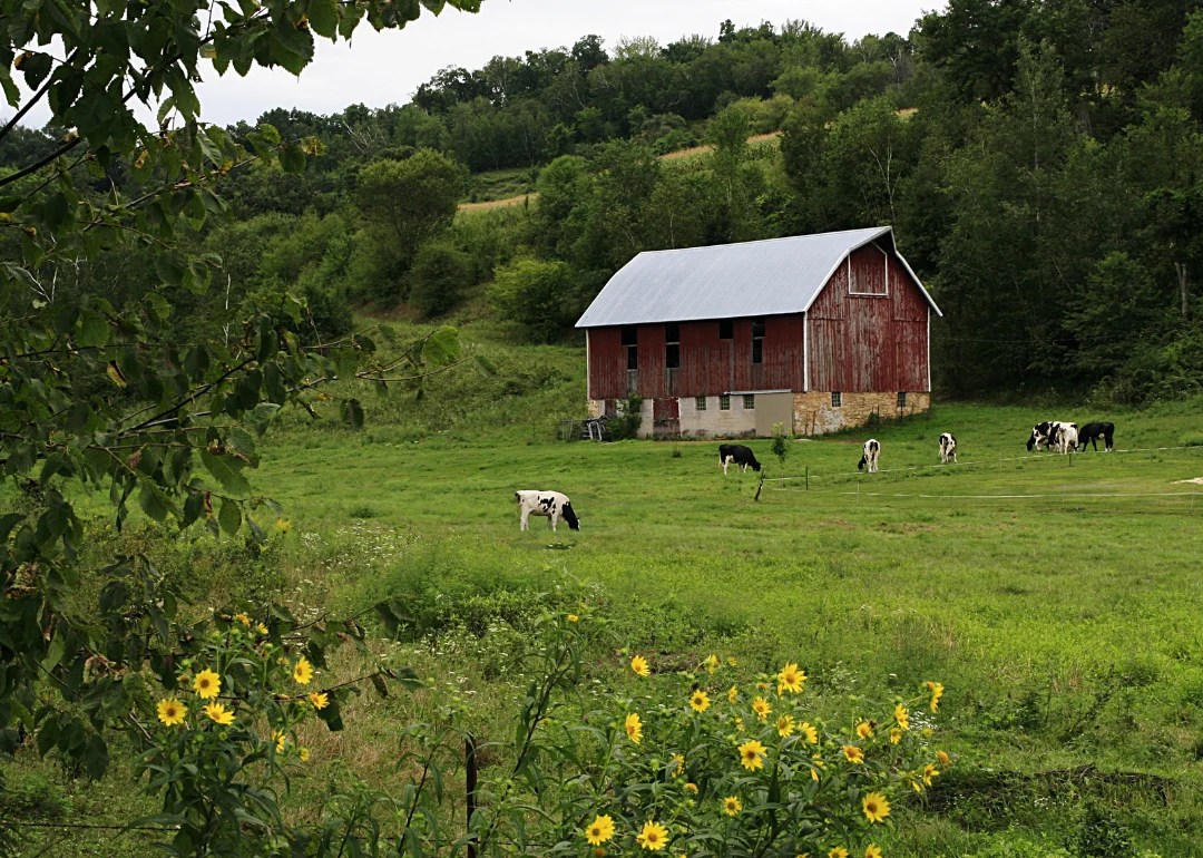 Counties With the Most Farmland in Wisconsin Stacker