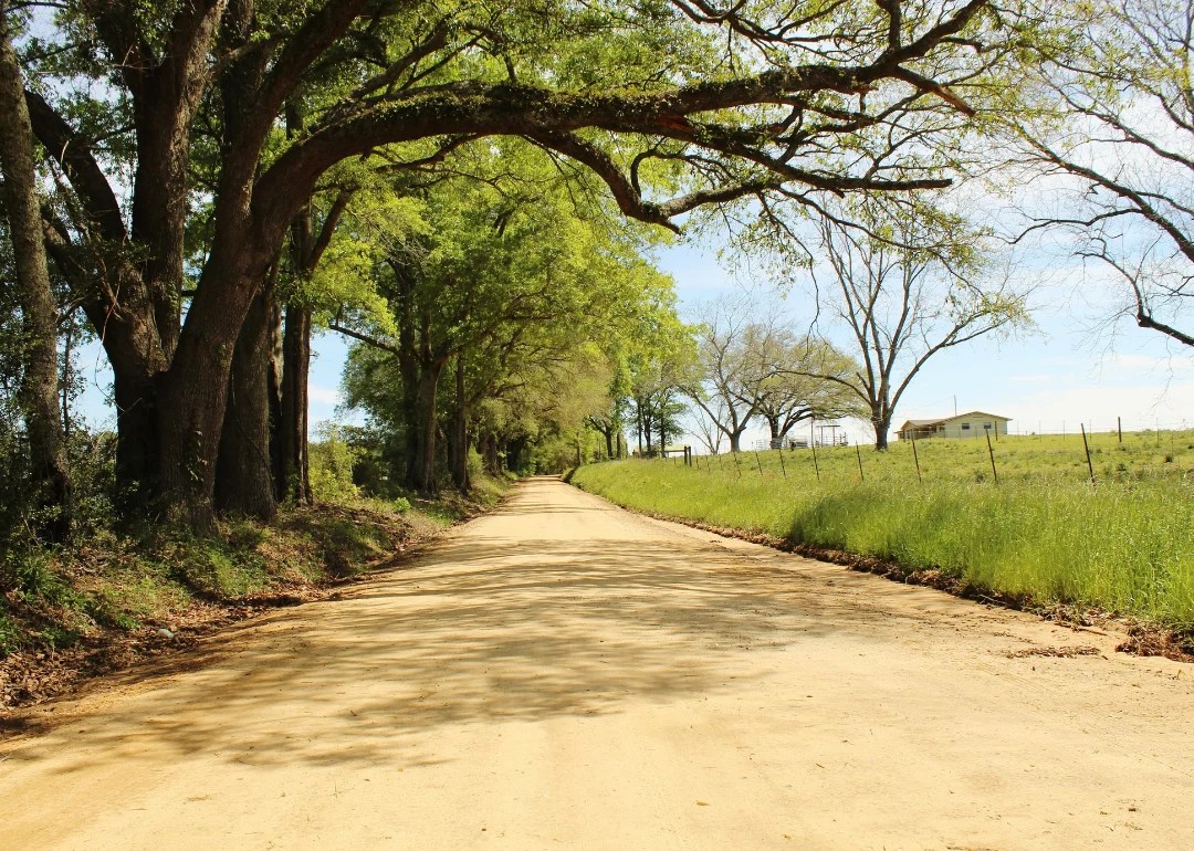 Counties With the Most Farmland in Florida Stacker