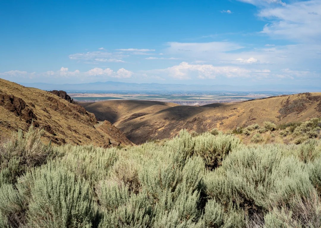 Counties With the Most Farmland in Idaho Stacker