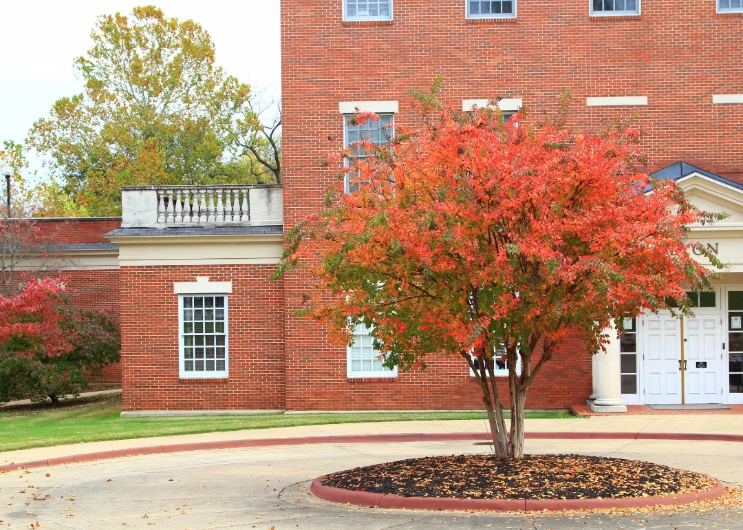 Counties With the Most Farmland in Arkansas Stacker
