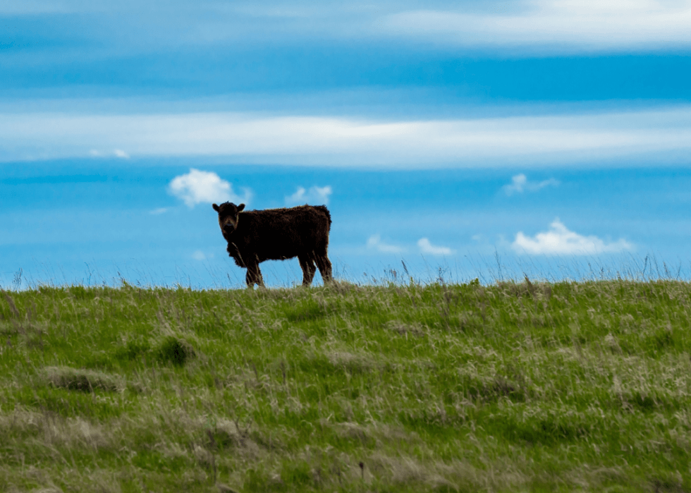 Counties Where Children Have the Best Opportunity for Economic Mobility