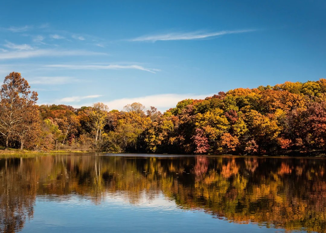 Counties With the Most Farmland in Missouri Stacker