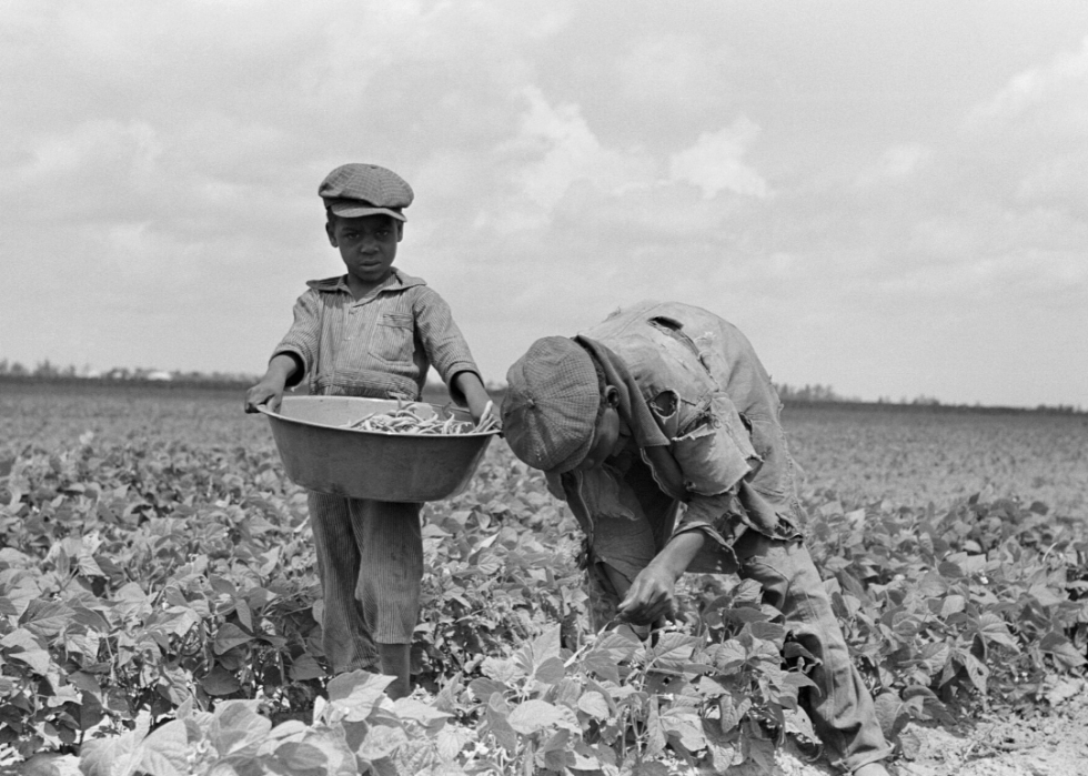 How Did The Great Depression Affect Farmers And Sharecroppers Farmer