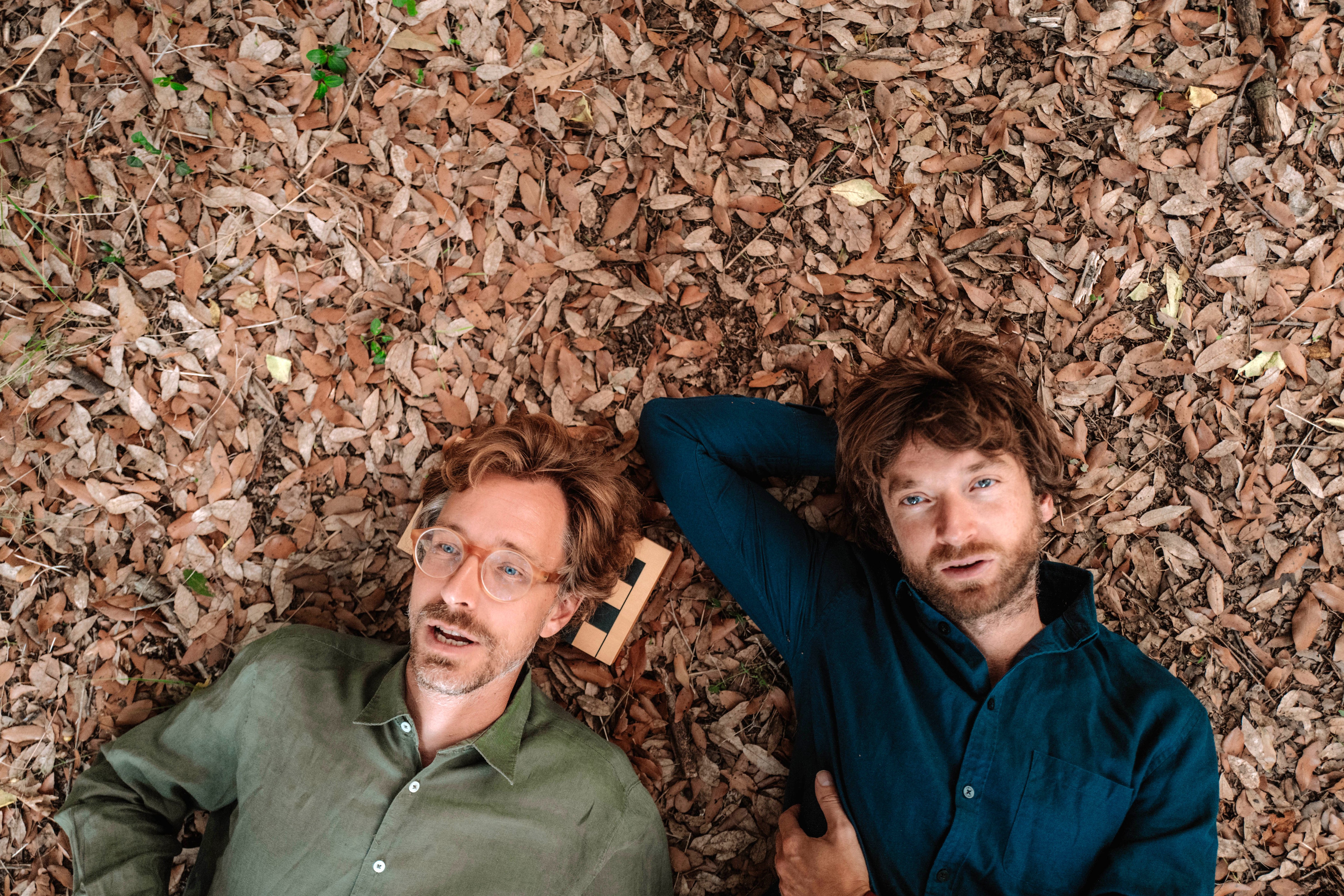 Kings of Convenience Peace or Love review Far from folk