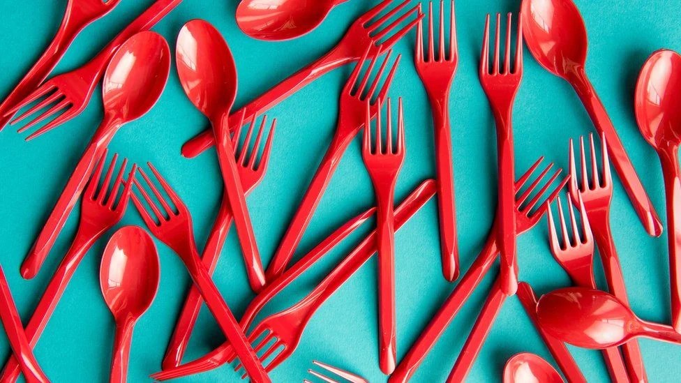 Government set to ban single use plastic plates and cutlery Evening