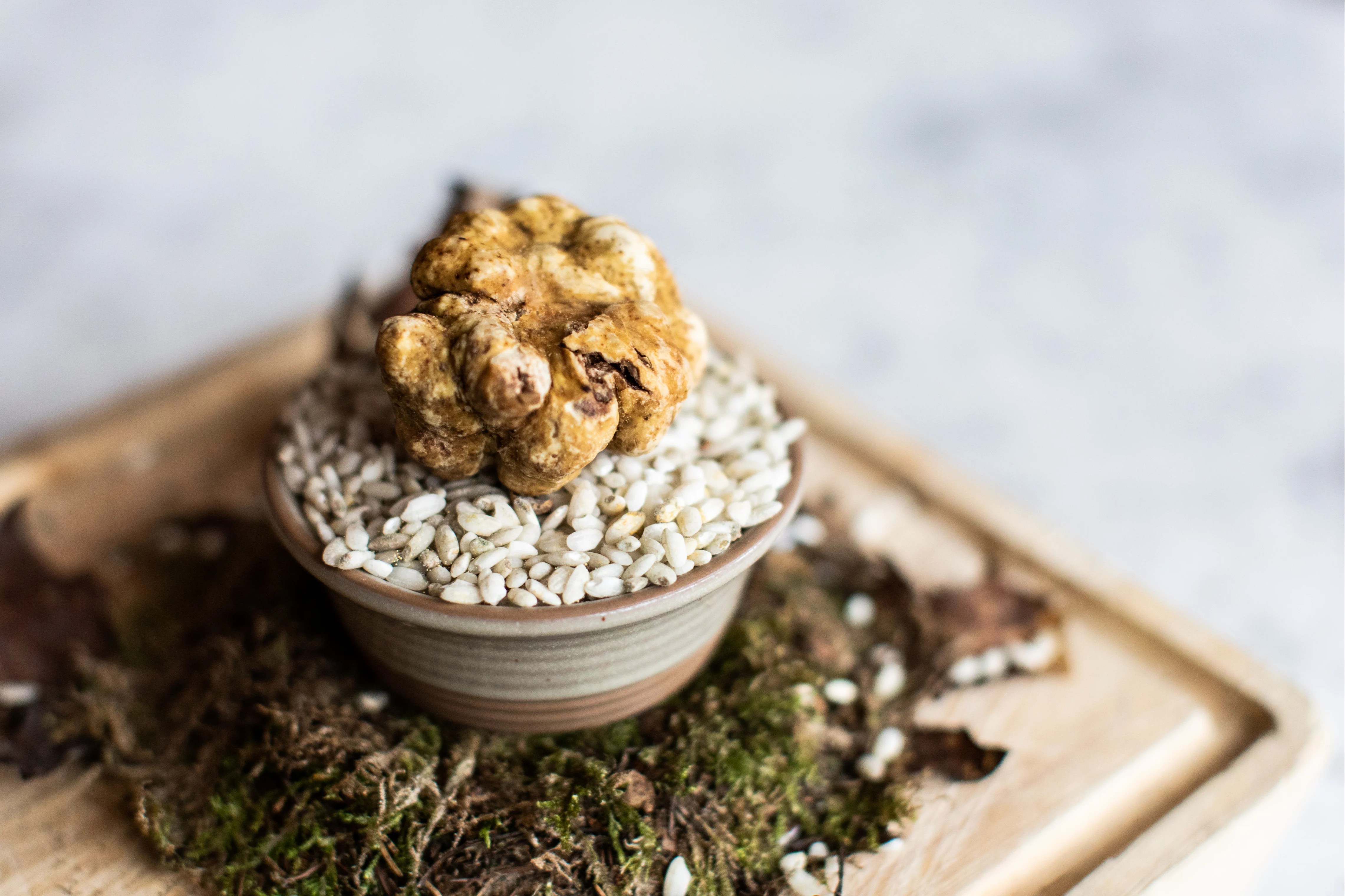 London’s best restaurants for white truffles, from Daphne’s to Quo