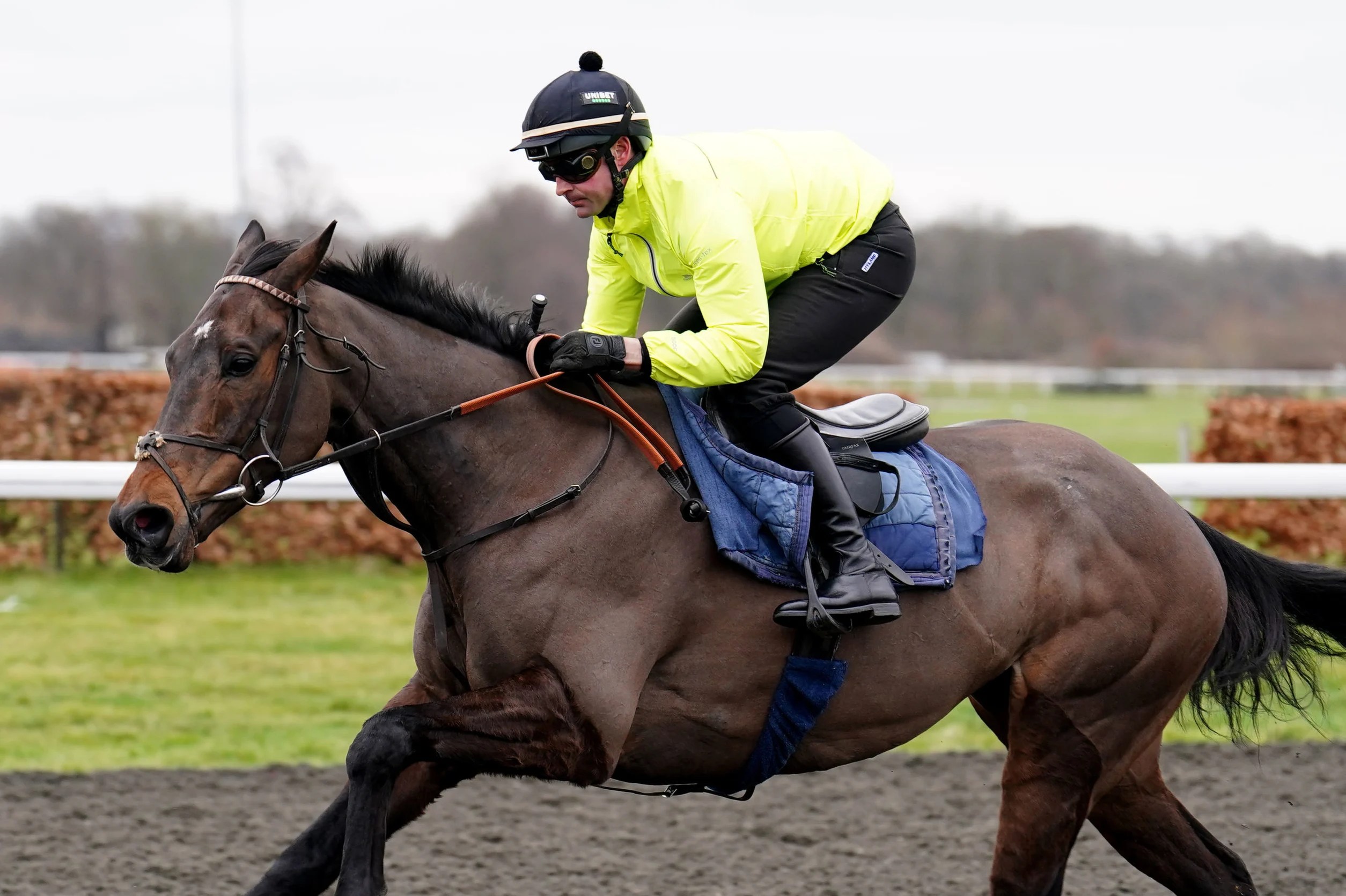 Cheltenham Festival 2023 tips Constitution Hill the star attraction on