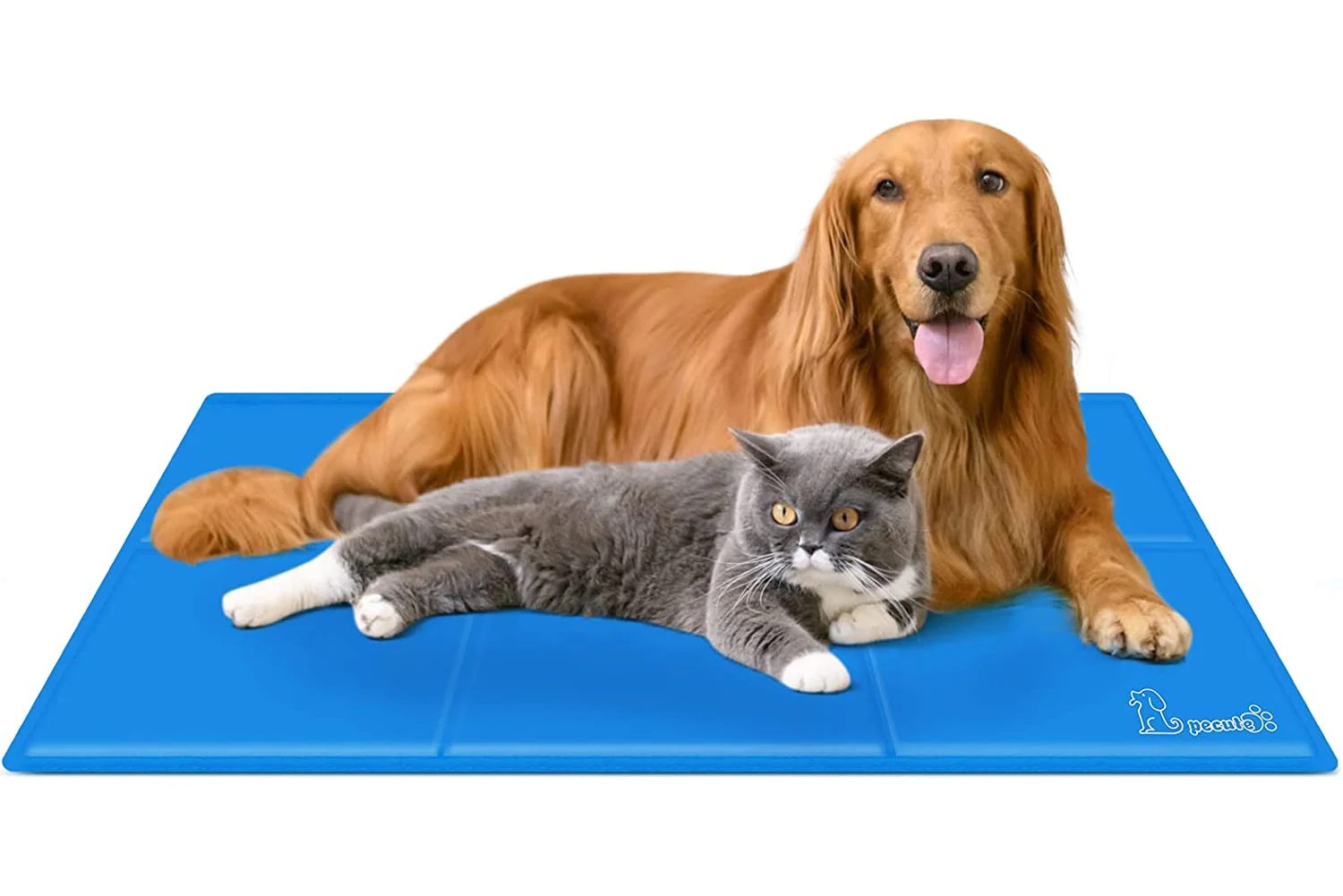 Best cooling mats for dogs keep your pets cool this…