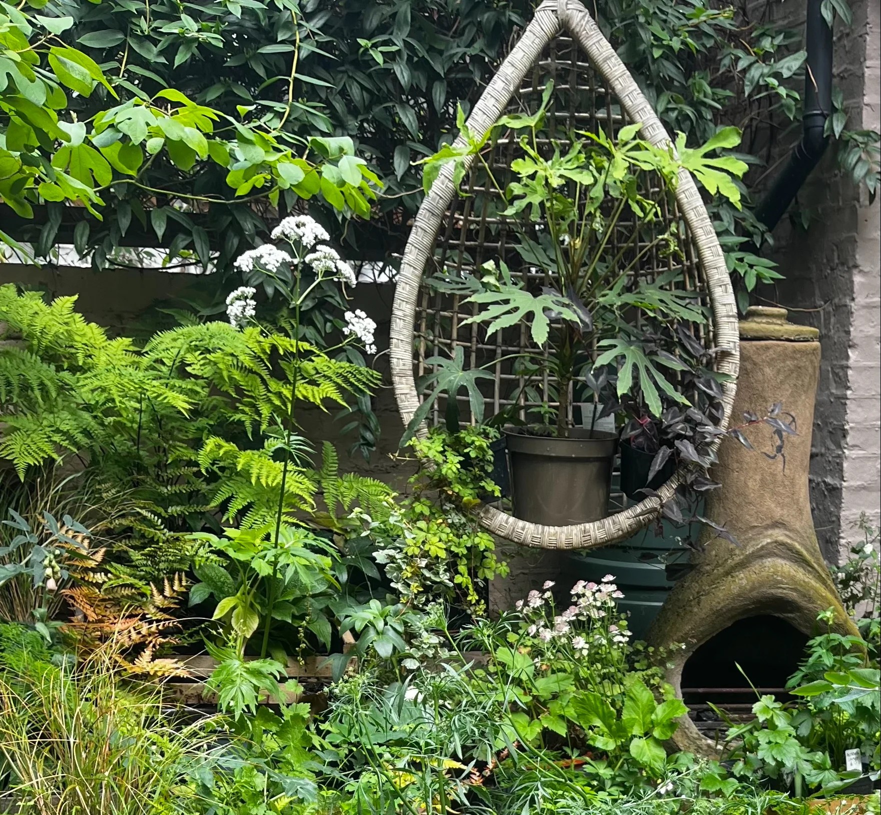 Top London garden designers five garden and balcony…